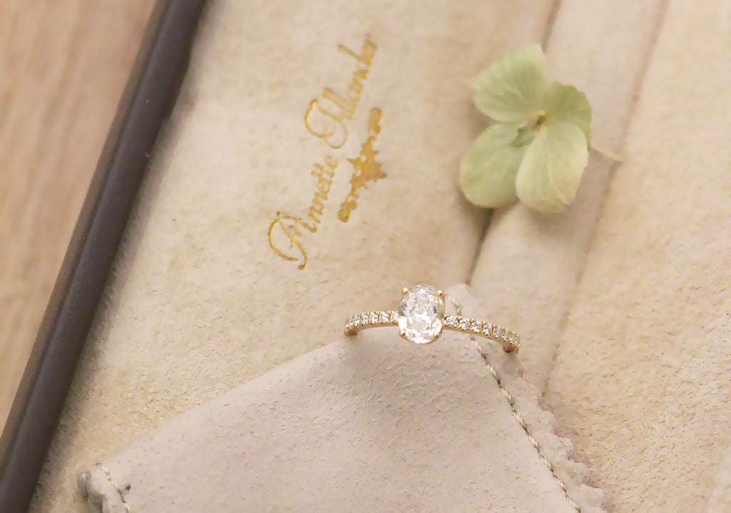 Annette's Clara Dream